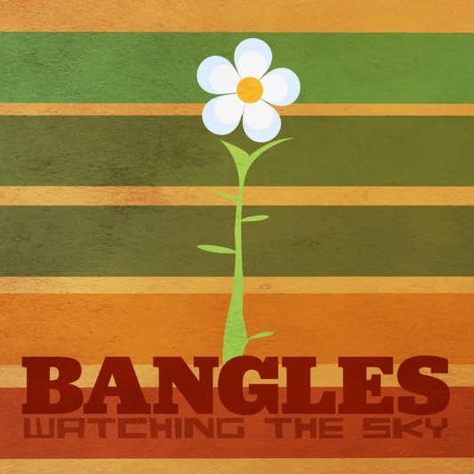 Watching The Sky - The Bangles Box Set