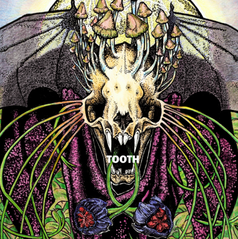 Tooth