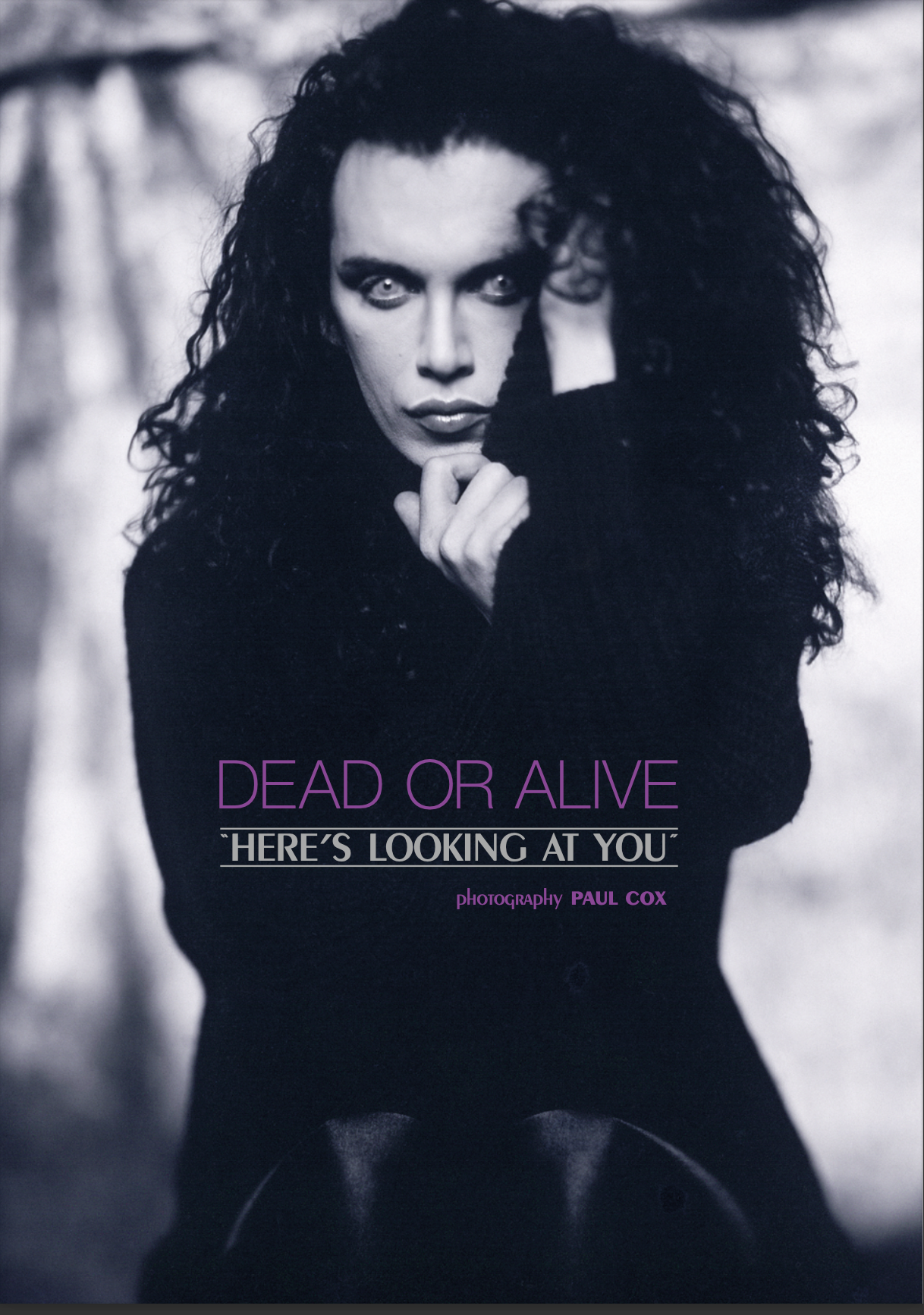 Dead or Alive - Here's Looking at You