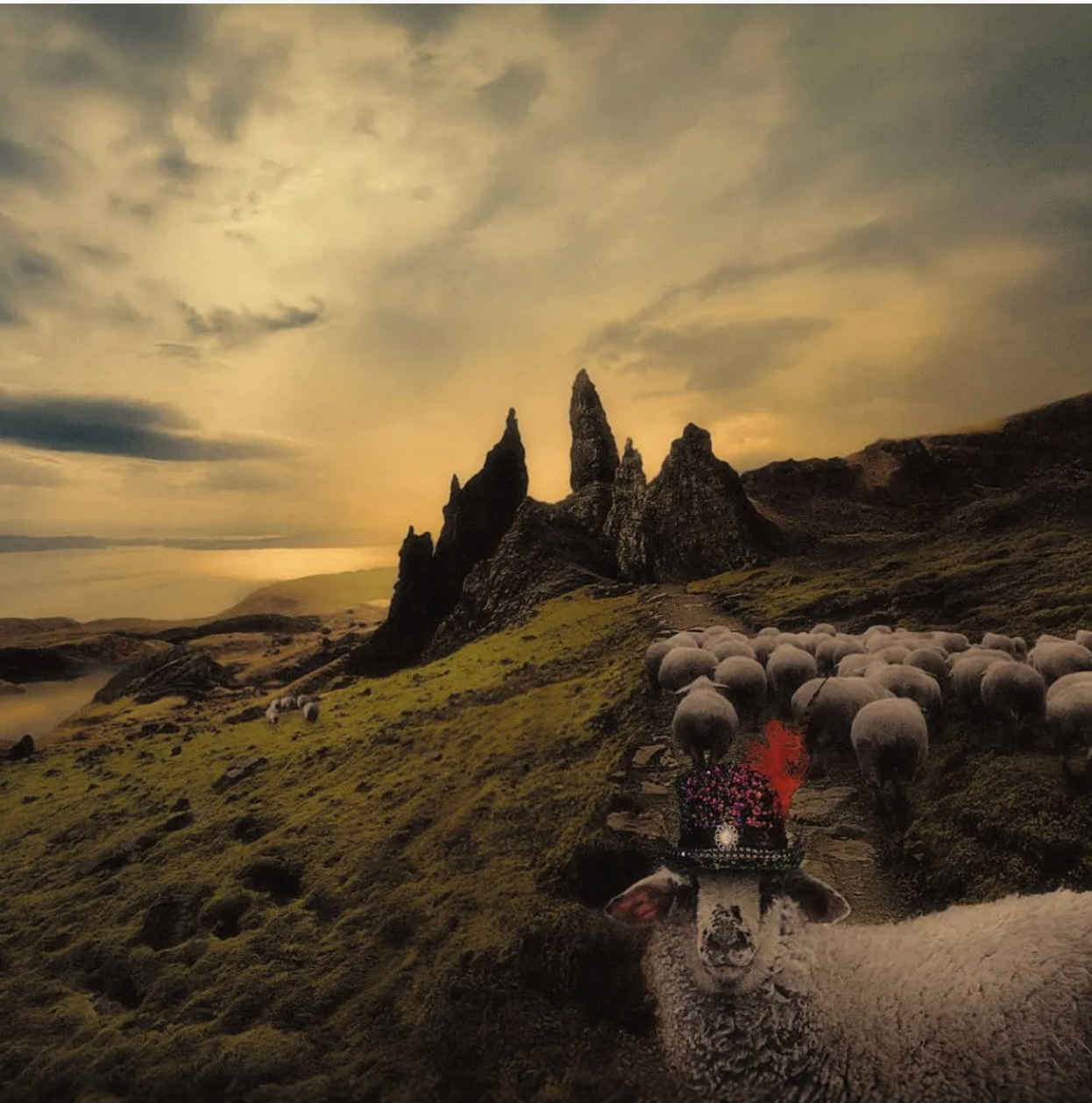 Sheeple