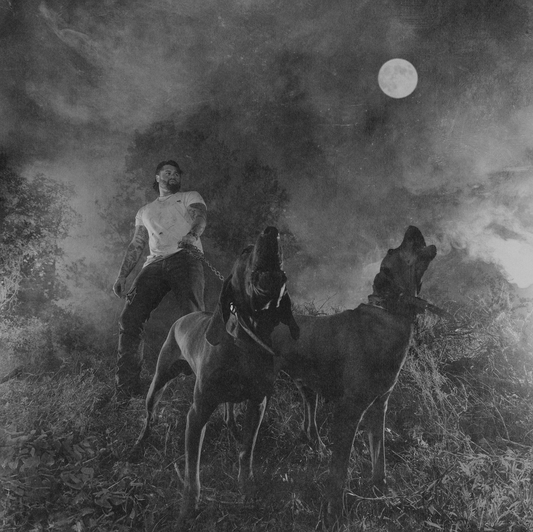 The Night Champion