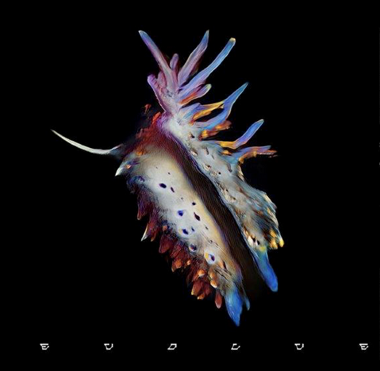 Evolve