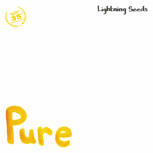 All I Want / Pure - RSD 2024