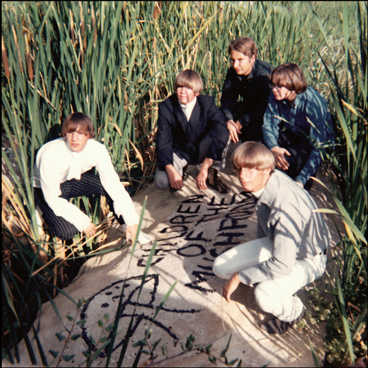 Children Of The Mushroom