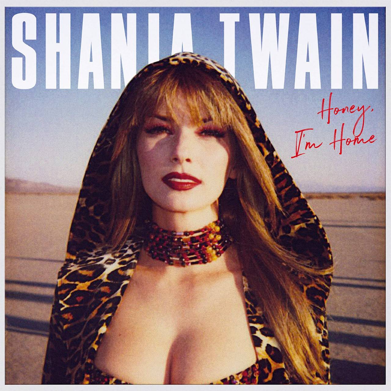 Shania-Tour-Vinyl-1.jpg