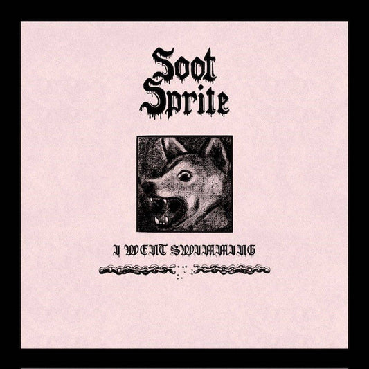 I Went Swimming / Home Among Your Bones