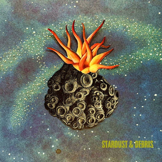 Stardust and Debris