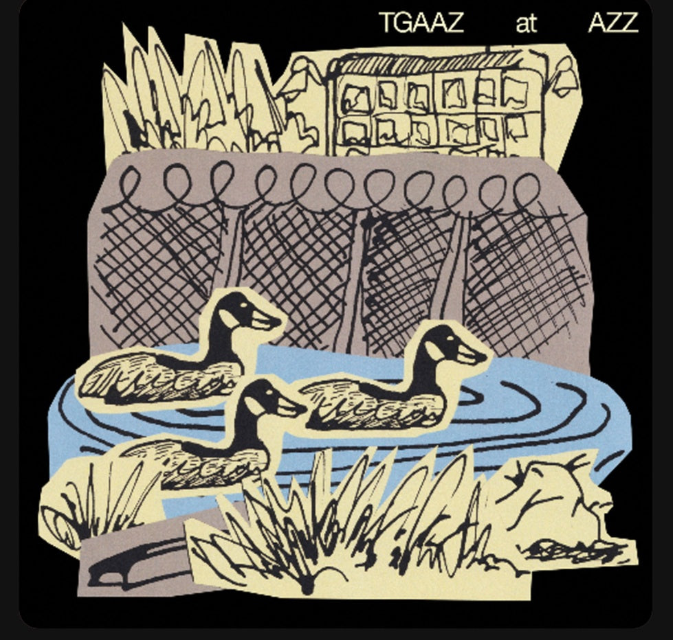 TGAAZ at AZZ