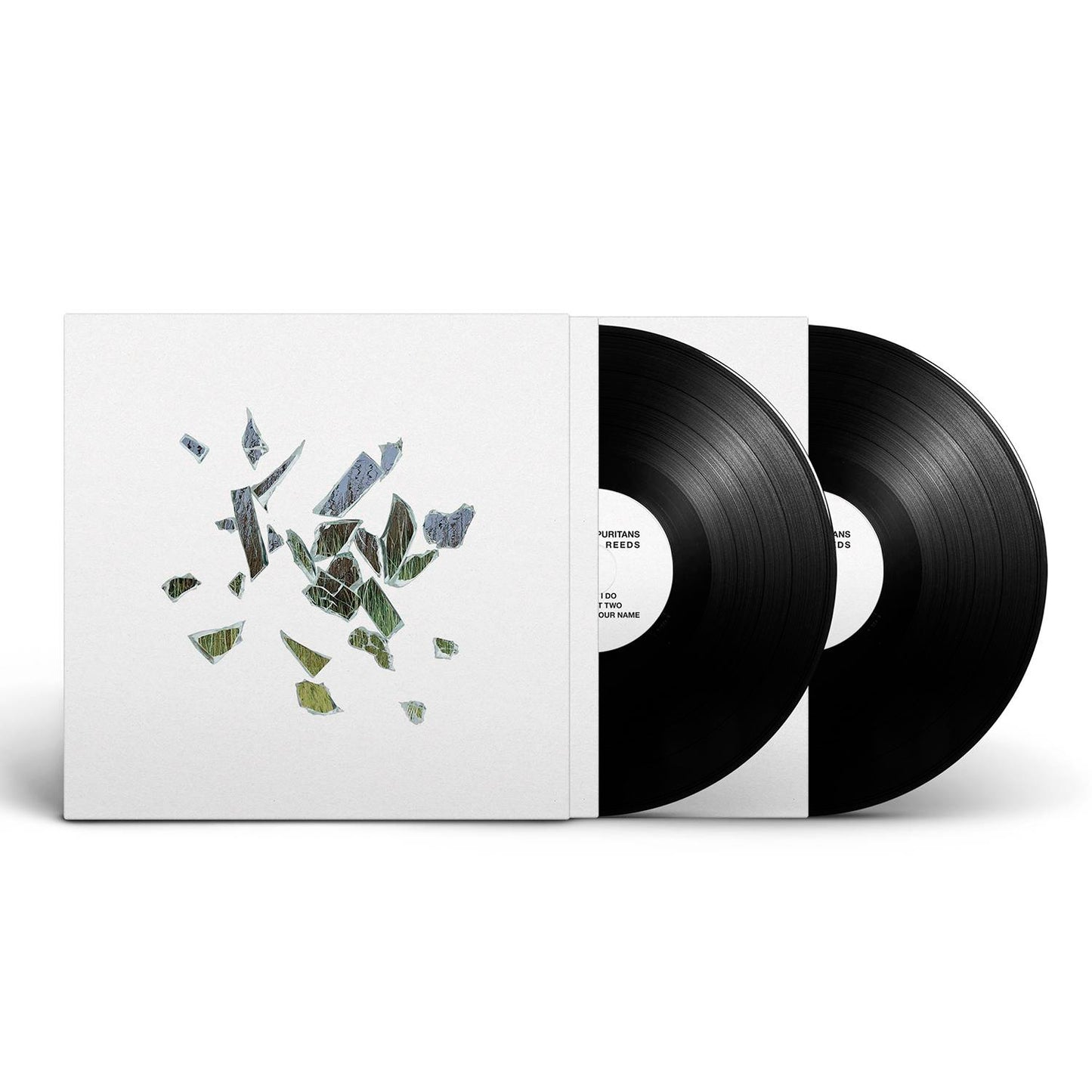 THESENEWPURITANS_FIELD_LP EXPLODED.jpg