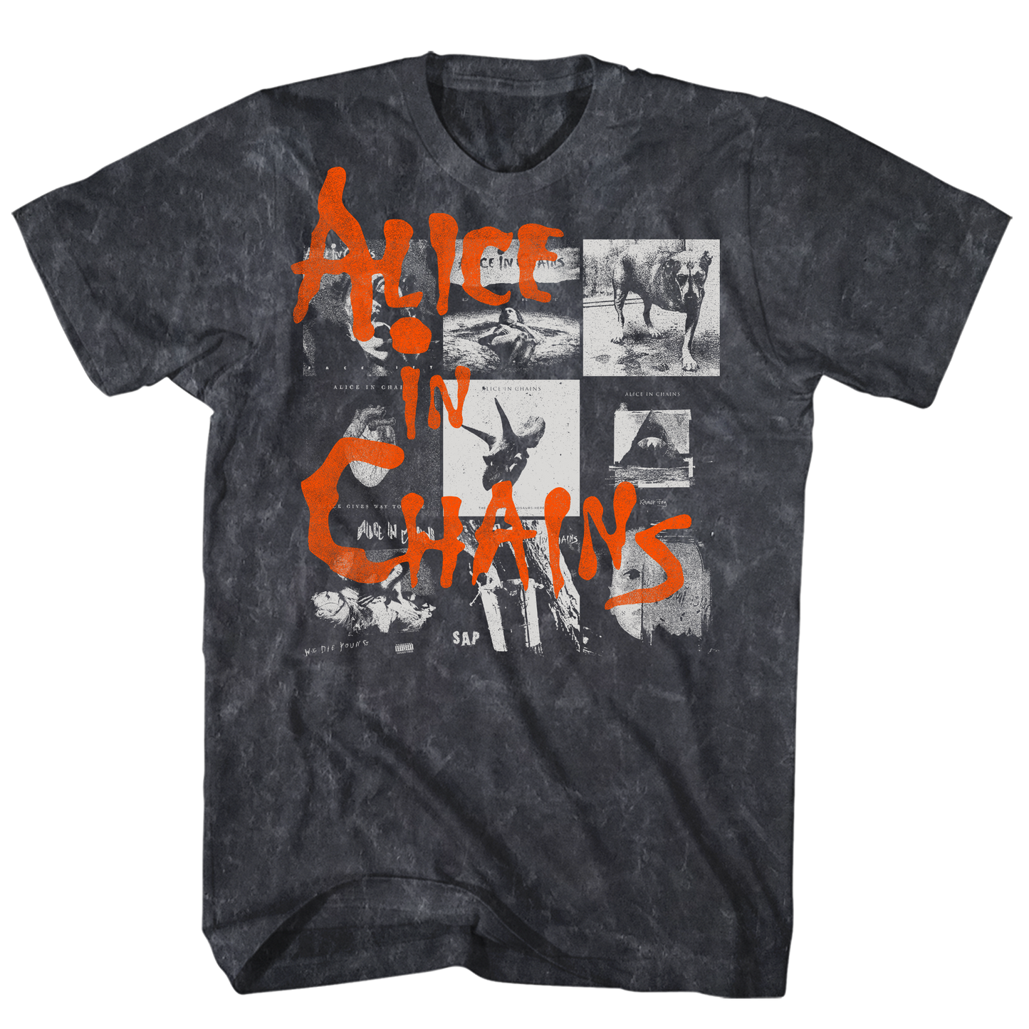 Alice In Chains - Album Covers Min Wsh Tshirt 1xl Bk Product Image