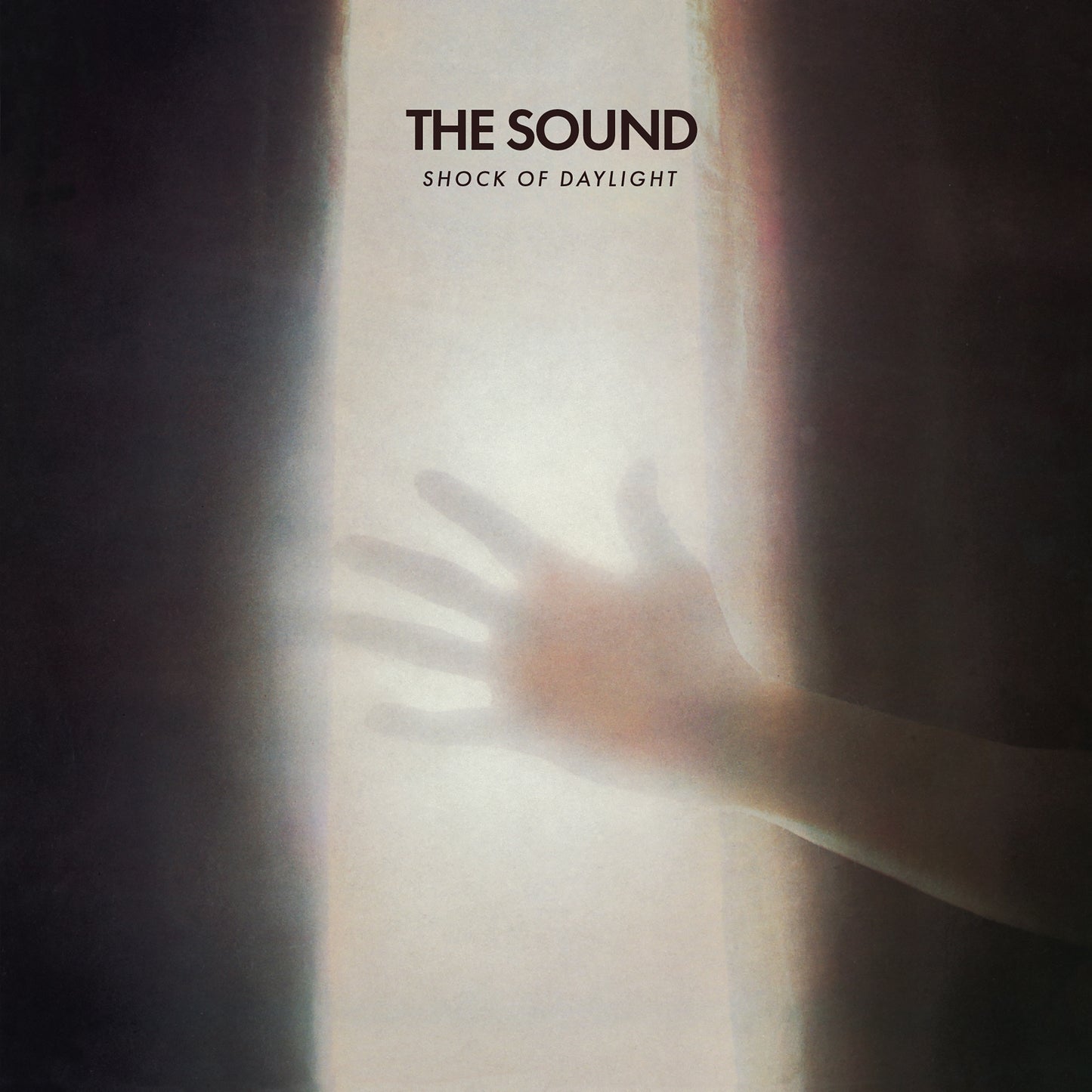 Shock of Daylight