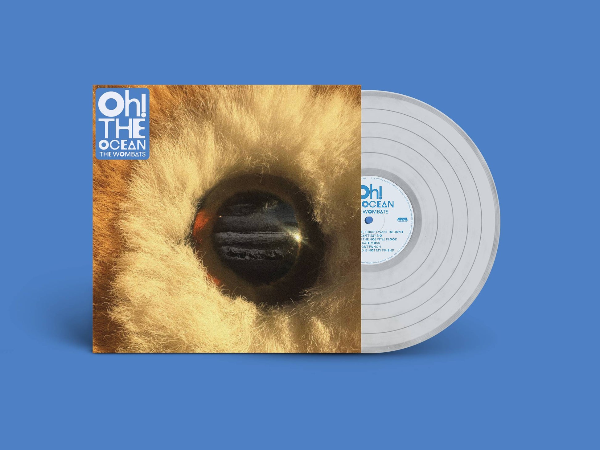 TheWombats-O!TH_IndieVinyl (1).jpg
