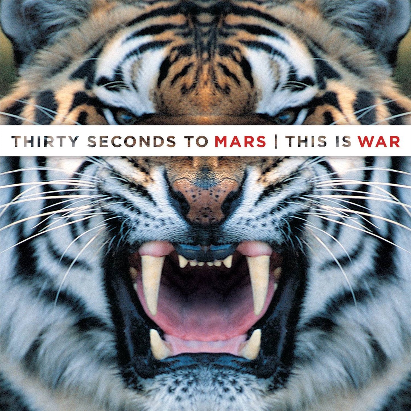 This is War