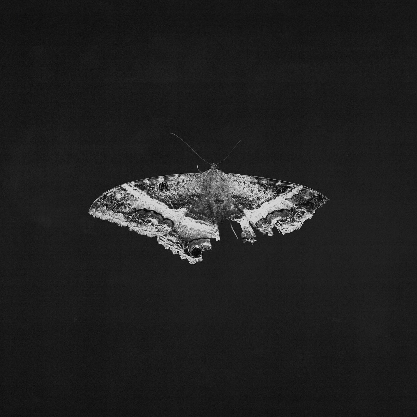 To Pimp A Butterfly (10 Year Anniversary Edition)