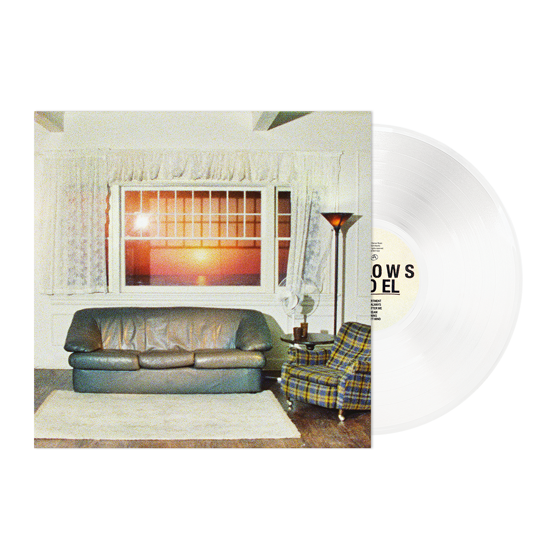 Wallows_Model_All Retail_Vinyl.png