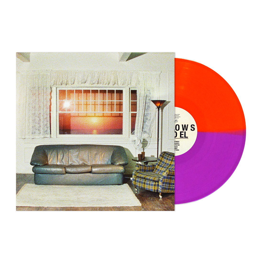 Wallows_Model_RSD Stores Vinyl.png