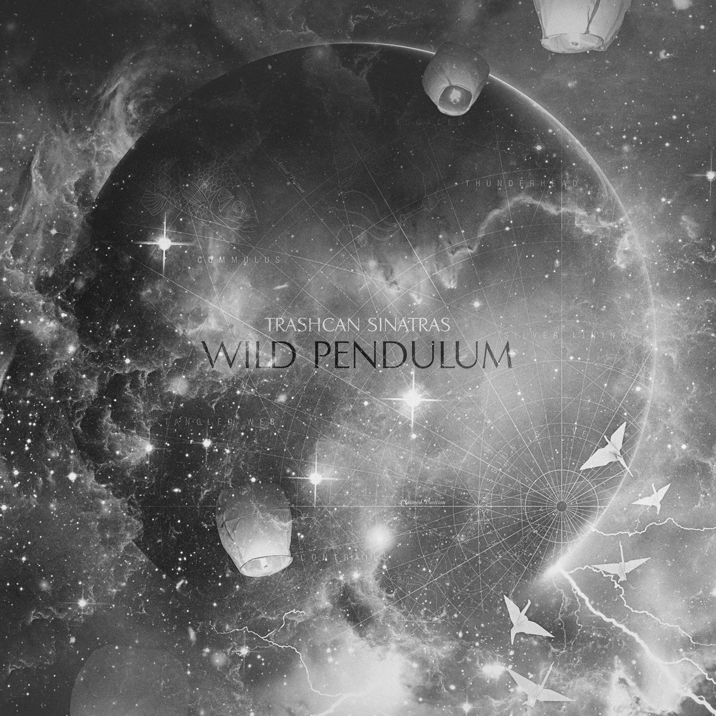 Wild Pendulum  - RSD 2024