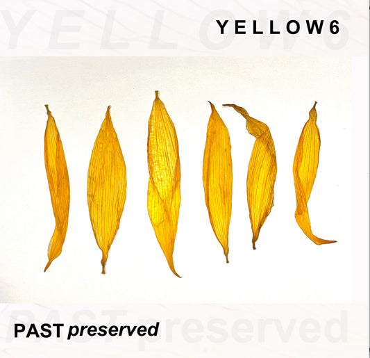 Past Preserved
