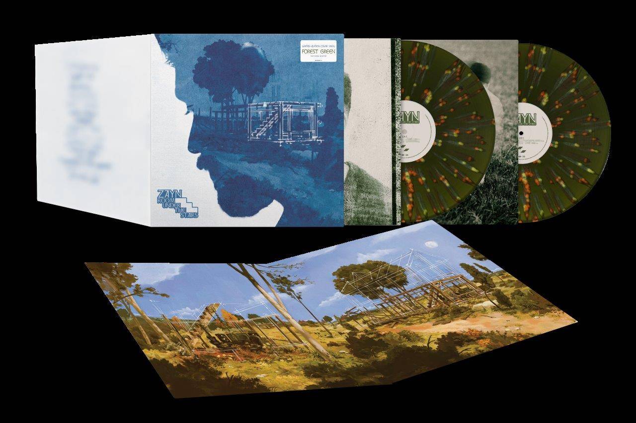 ZAYN RUTS STANDARD VINYL.jpg