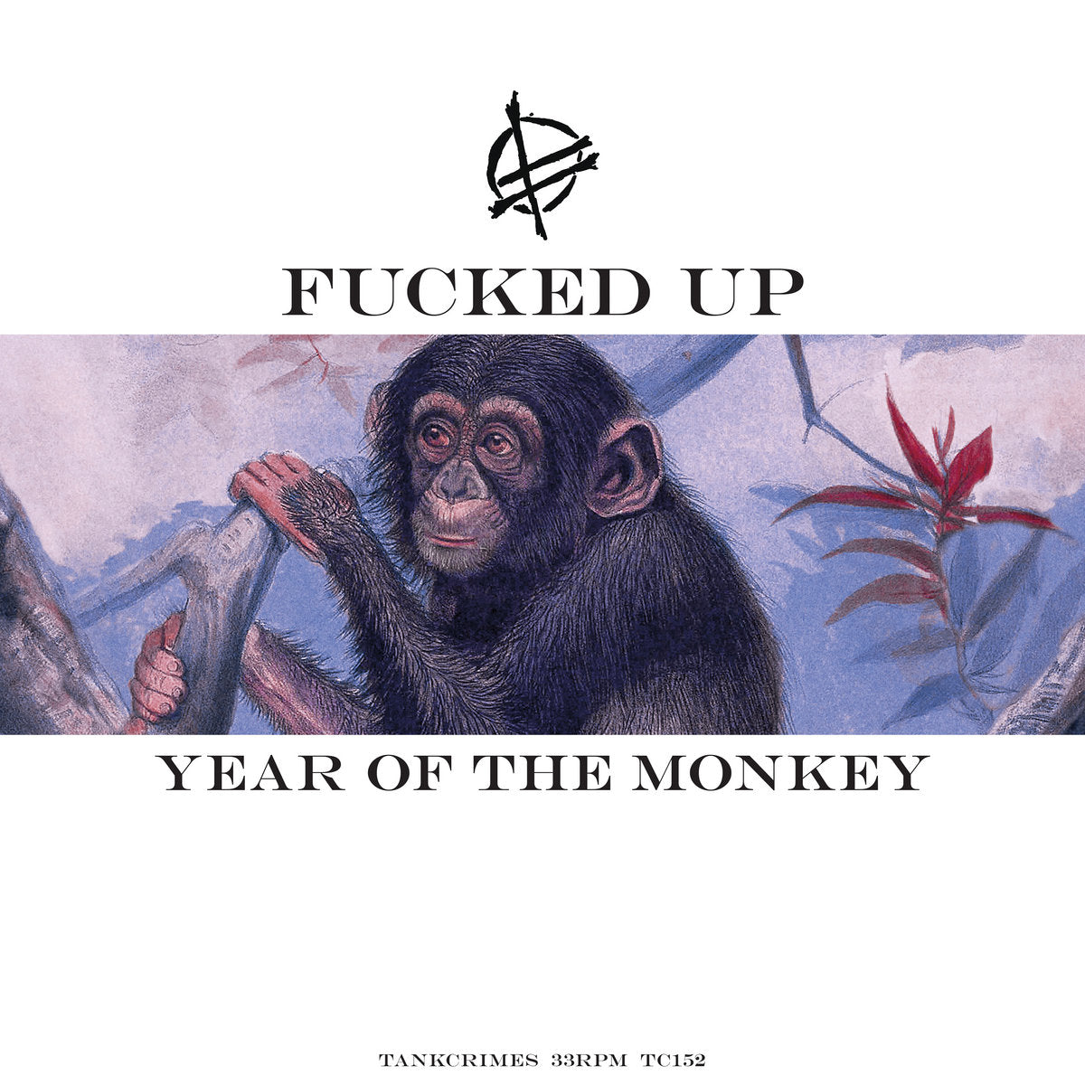 Year of the Monkey