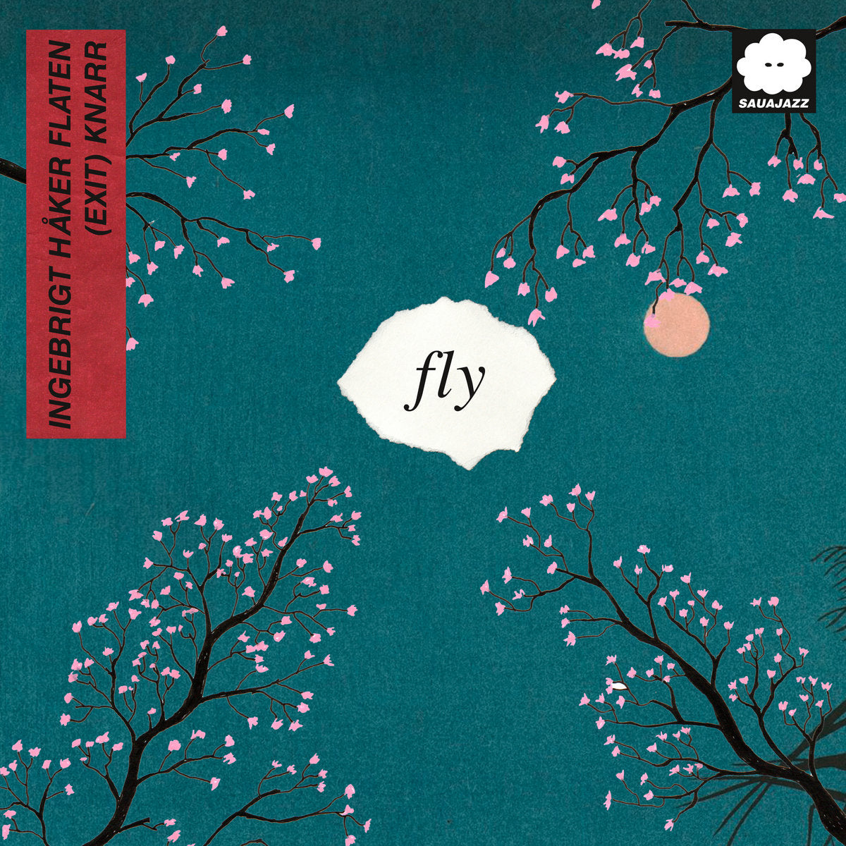 fly