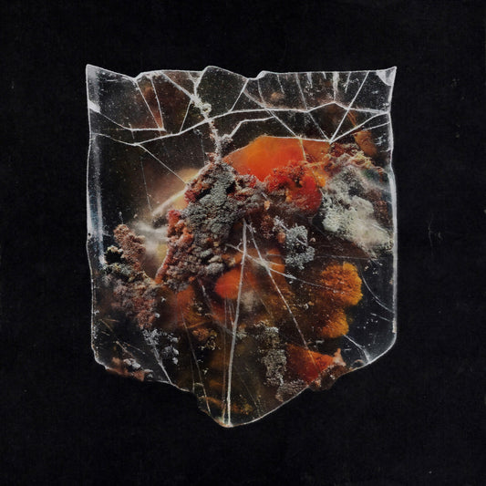 Shields - Death and Connection Product Image