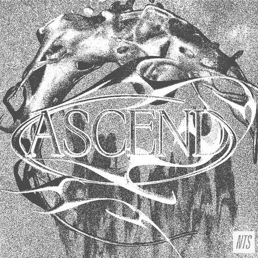 Ascend