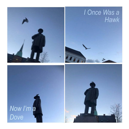 I Once Was a Hawk, Now I’m a Dove