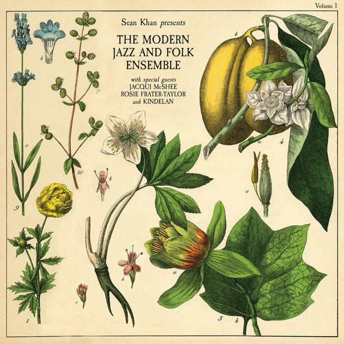 The Modern Folk and Jazz Ensemble