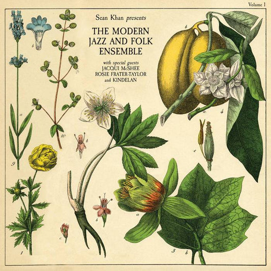 The Modern Folk and Jazz Ensemble