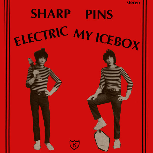 Electric My Icebox