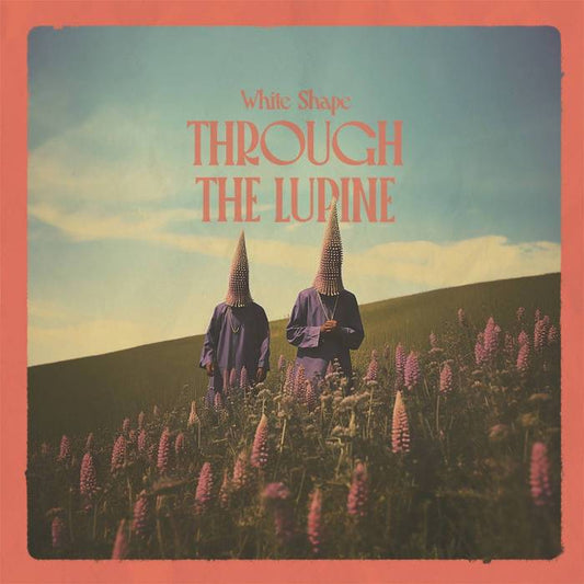 Through The Lupine
