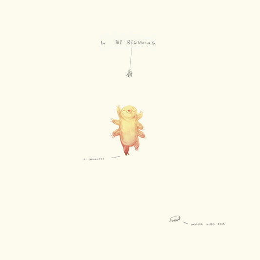 In the Beginning