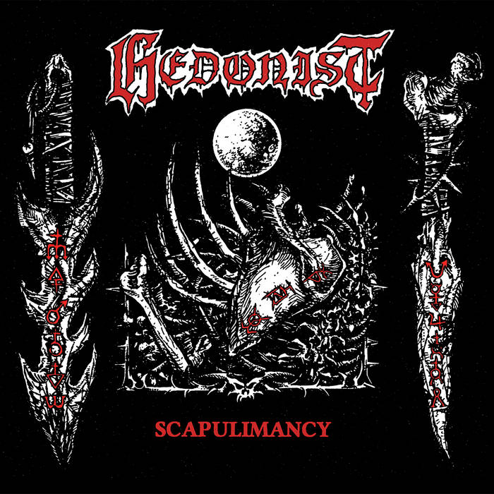 Scapulimancy
