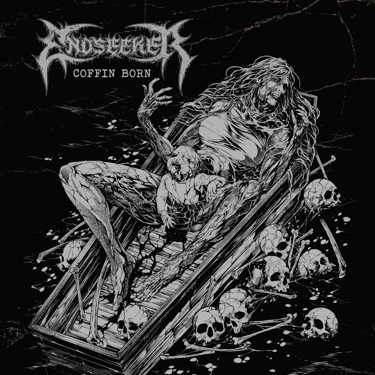Coffin Born