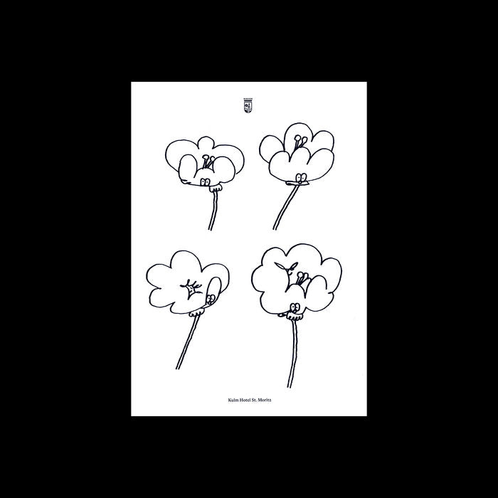 Poppies