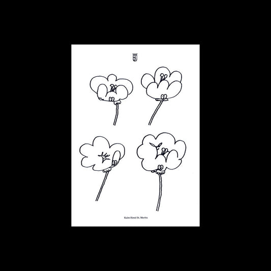 Poppies