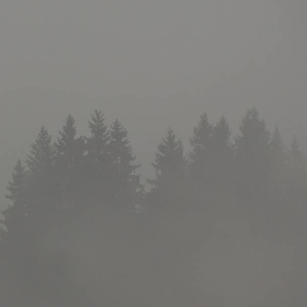 Donnerwetter