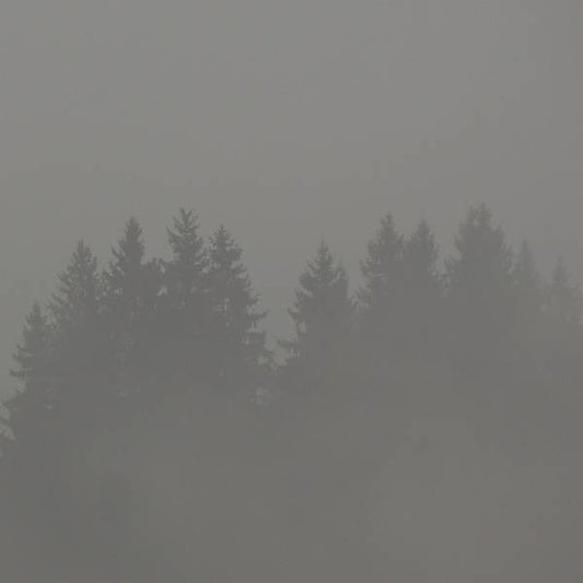 Donnerwetter