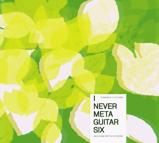 Elliott Sharp Presents I Never Metaguitar 6