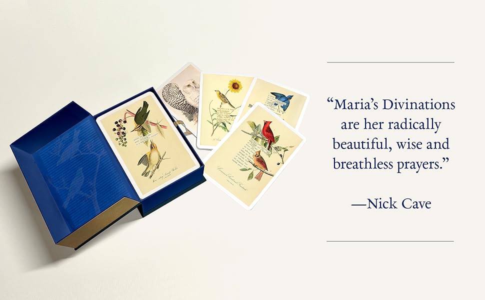 An Almanac of Birds: 100 Divinations for Uncertain Days