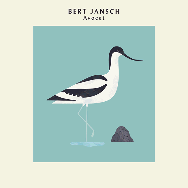 avocet_print_gif.gif