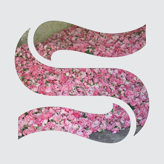 Step by Step EP