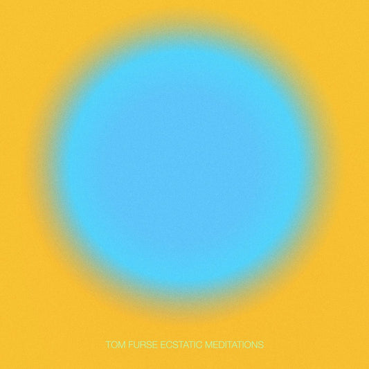 Ecstatic Meditations