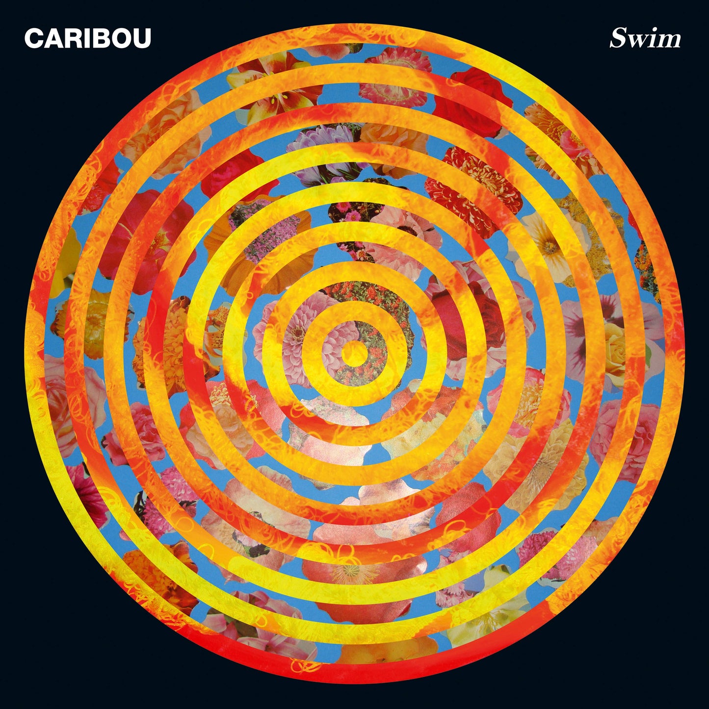 Swim (10th Anniversary Edition)