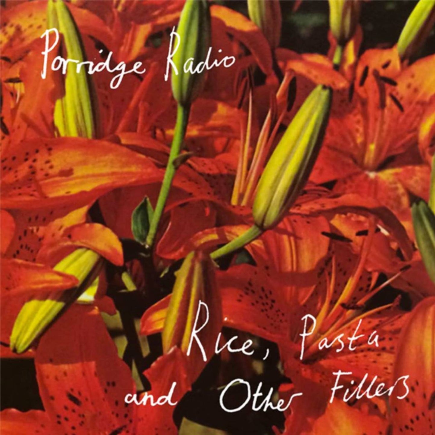 Rice, Pasta and Other Fillers
