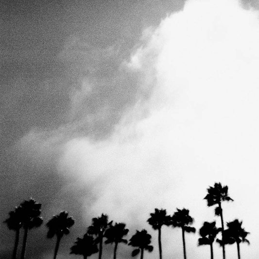 Radiation Breeze