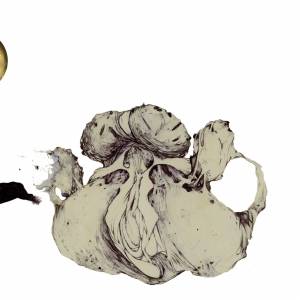 Ape Of Naples
