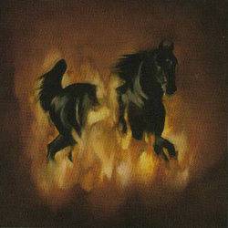 The Besnard Lakes Are The Dark Horse