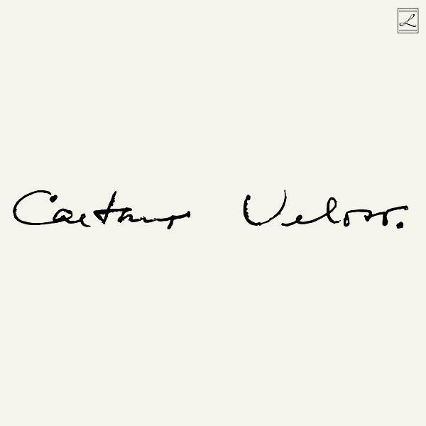Caetano Veloso (Irene)